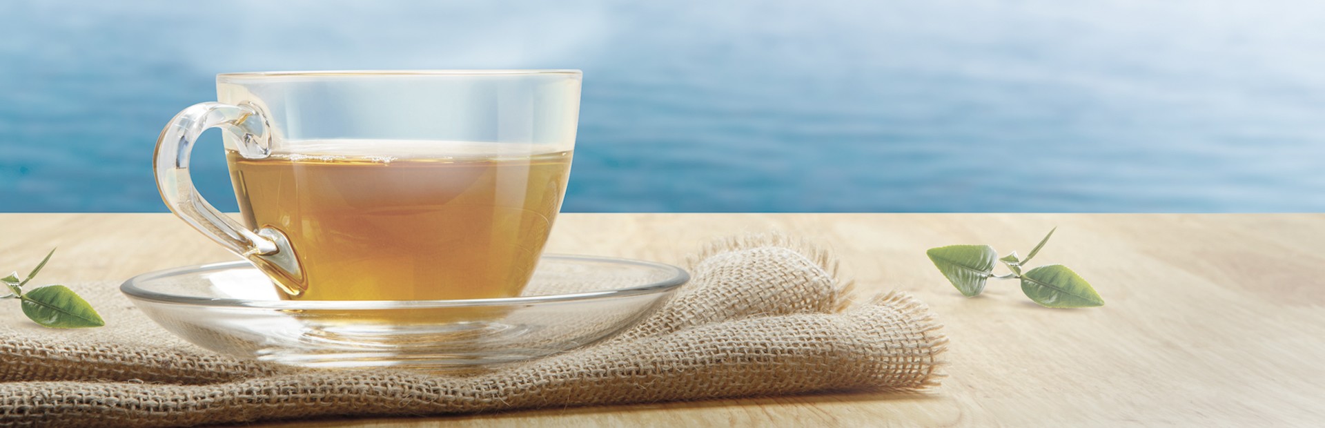 Organic Infus'Oceanes